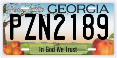 GA license plate PZN2189