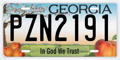 GA license plate PZN2191