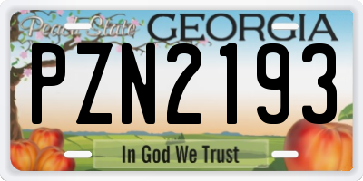 GA license plate PZN2193