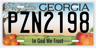 GA license plate PZN2198