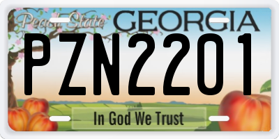 GA license plate PZN2201