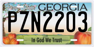 GA license plate PZN2203