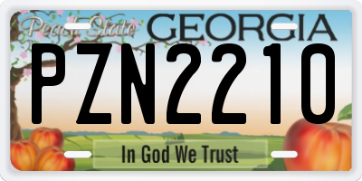 GA license plate PZN2210