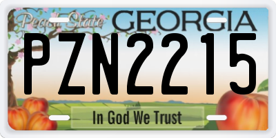 GA license plate PZN2215