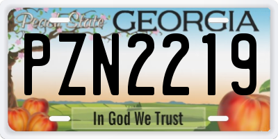GA license plate PZN2219
