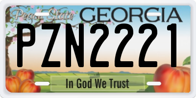 GA license plate PZN2221