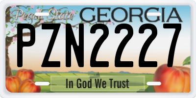 GA license plate PZN2227
