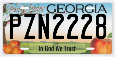 GA license plate PZN2228