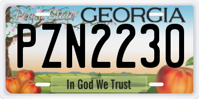 GA license plate PZN2230