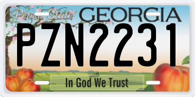 GA license plate PZN2231