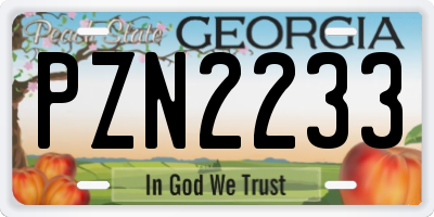 GA license plate PZN2233