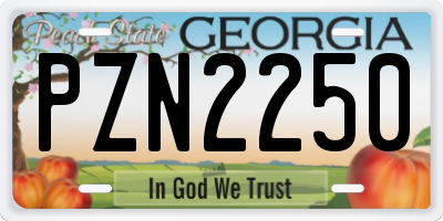 GA license plate PZN2250