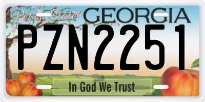 GA license plate PZN2251