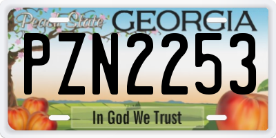 GA license plate PZN2253
