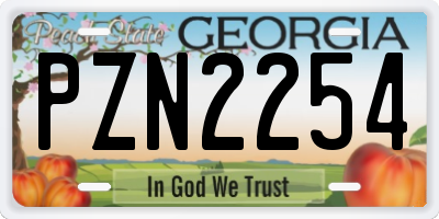 GA license plate PZN2254