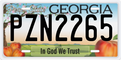 GA license plate PZN2265