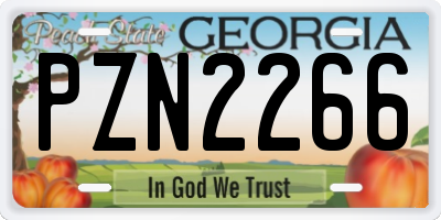 GA license plate PZN2266
