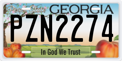 GA license plate PZN2274