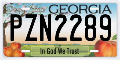 GA license plate PZN2289