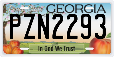GA license plate PZN2293