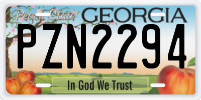 GA license plate PZN2294