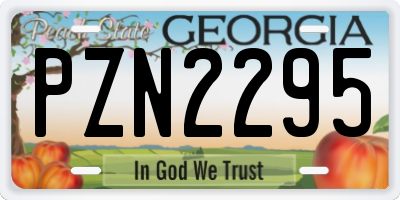 GA license plate PZN2295