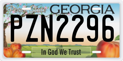 GA license plate PZN2296