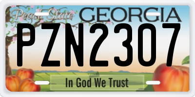 GA license plate PZN2307