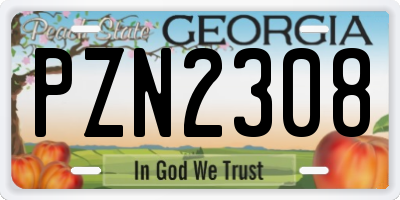 GA license plate PZN2308