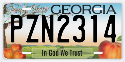 GA license plate PZN2314