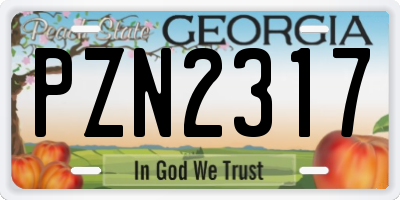 GA license plate PZN2317