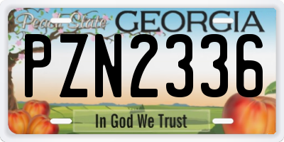 GA license plate PZN2336