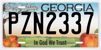 GA license plate PZN2337