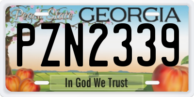 GA license plate PZN2339