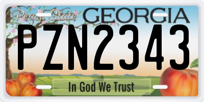 GA license plate PZN2343