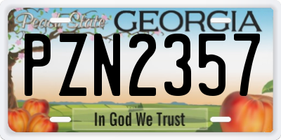 GA license plate PZN2357