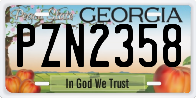 GA license plate PZN2358