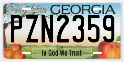 GA license plate PZN2359