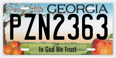 GA license plate PZN2363