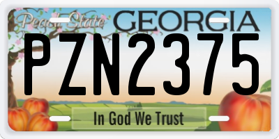 GA license plate PZN2375