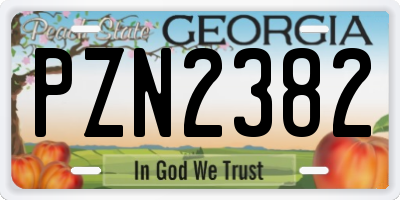 GA license plate PZN2382