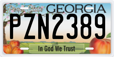 GA license plate PZN2389