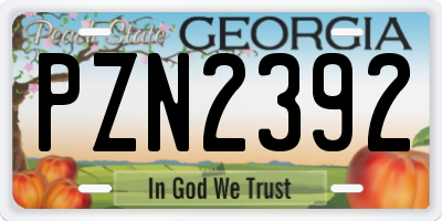 GA license plate PZN2392