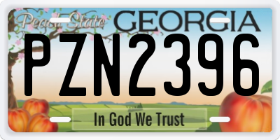 GA license plate PZN2396