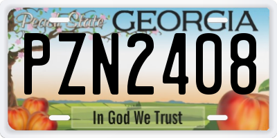 GA license plate PZN2408