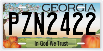 GA license plate PZN2422