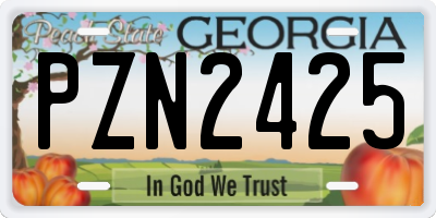 GA license plate PZN2425