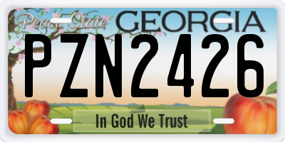 GA license plate PZN2426