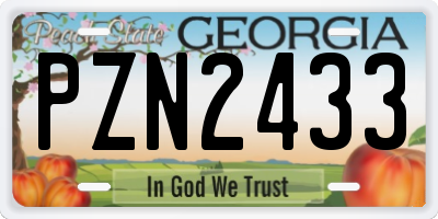 GA license plate PZN2433