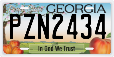 GA license plate PZN2434
